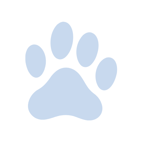 Border Collie Group